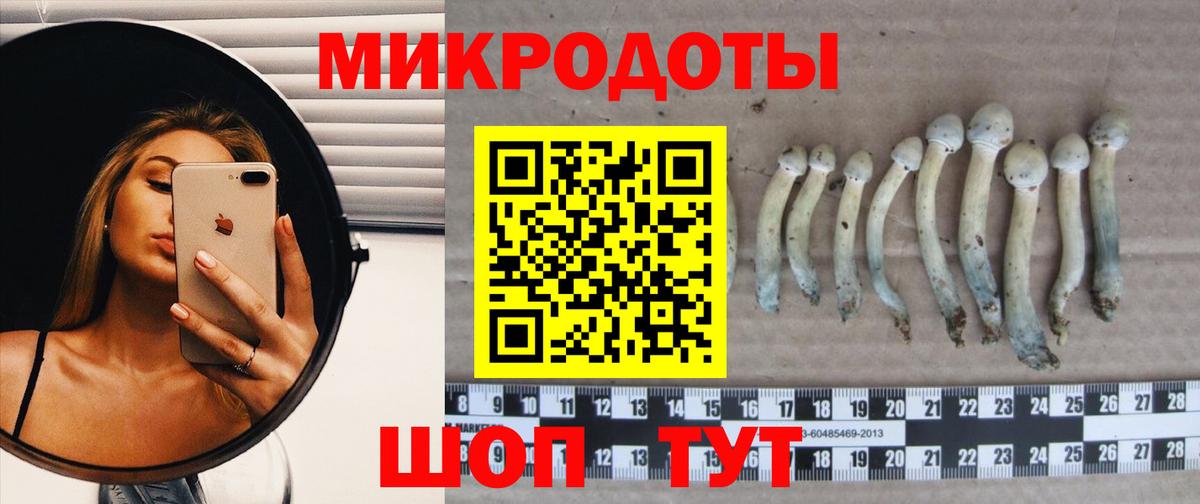 Галлюциногенные грибы мухоморы Ачхой-Мартан