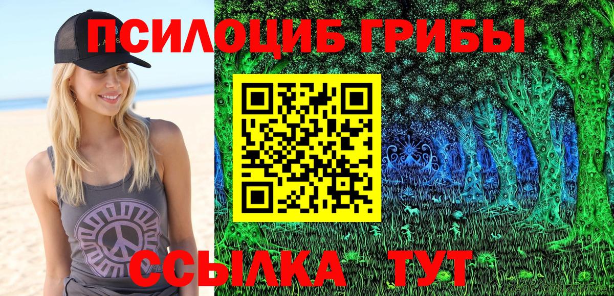 Ачхой-Мартан  Галлюциногенные грибы прущие грибы  Вход с VPN  Псилоцибиновые грибы мухоморы 