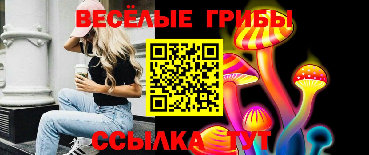 Псилоцибиновые грибы GOLDEN TEACHER Ачхой-Мартан