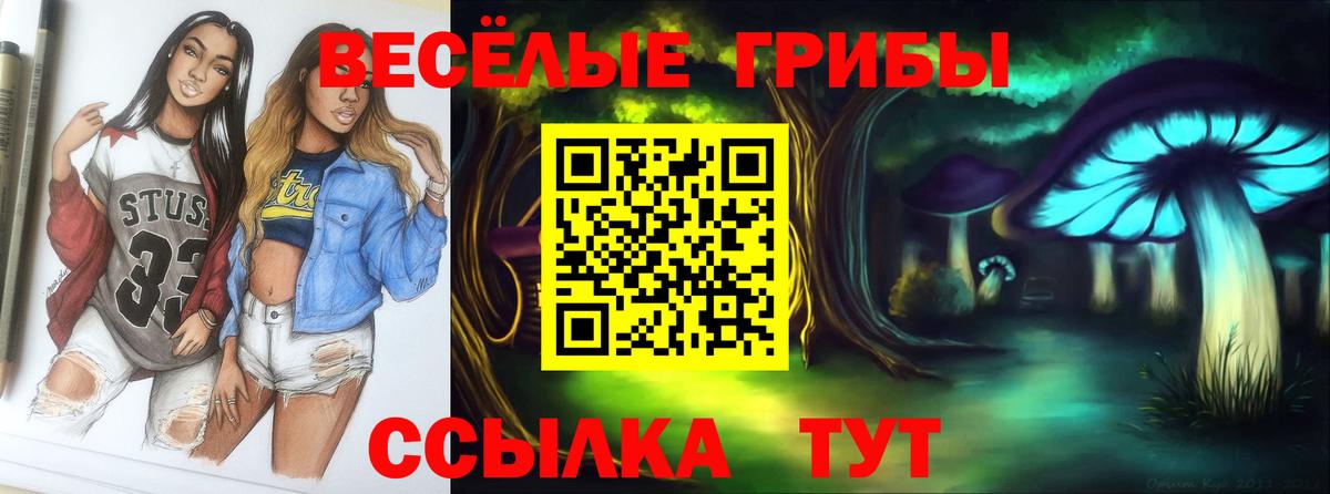 Галлюциногенные грибы Cubensis  Ачхой-Мартан 