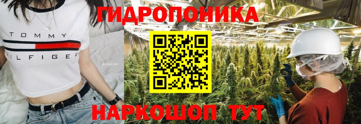 МАРИХУАНА сатива Ачхой-Мартан